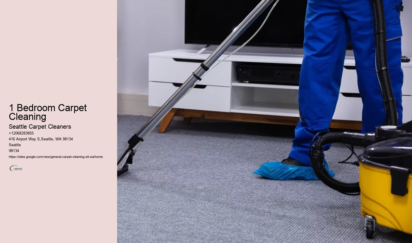 1 Bedroom Carpet Cleaning