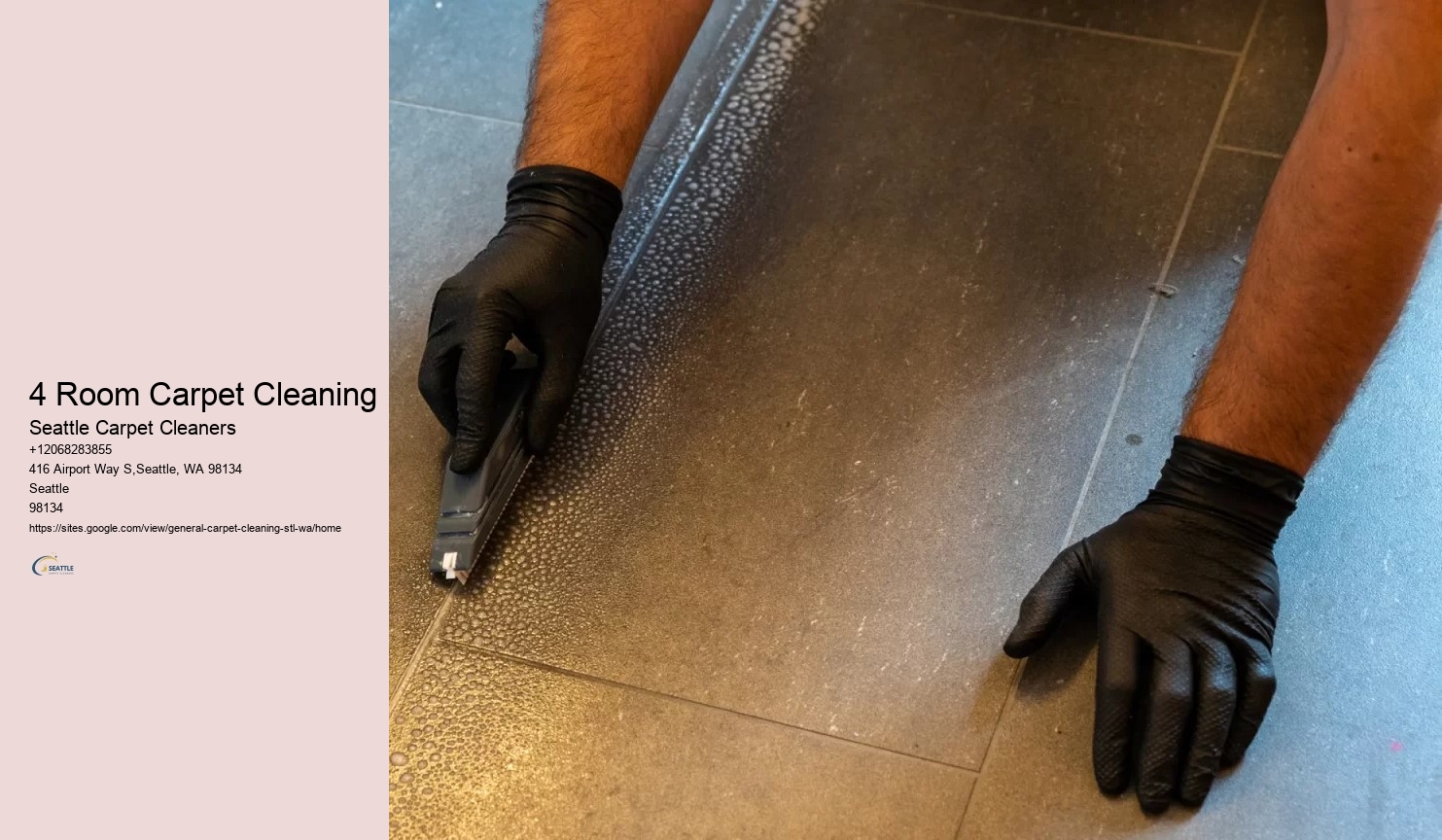 4 Room Carpet Cleaning