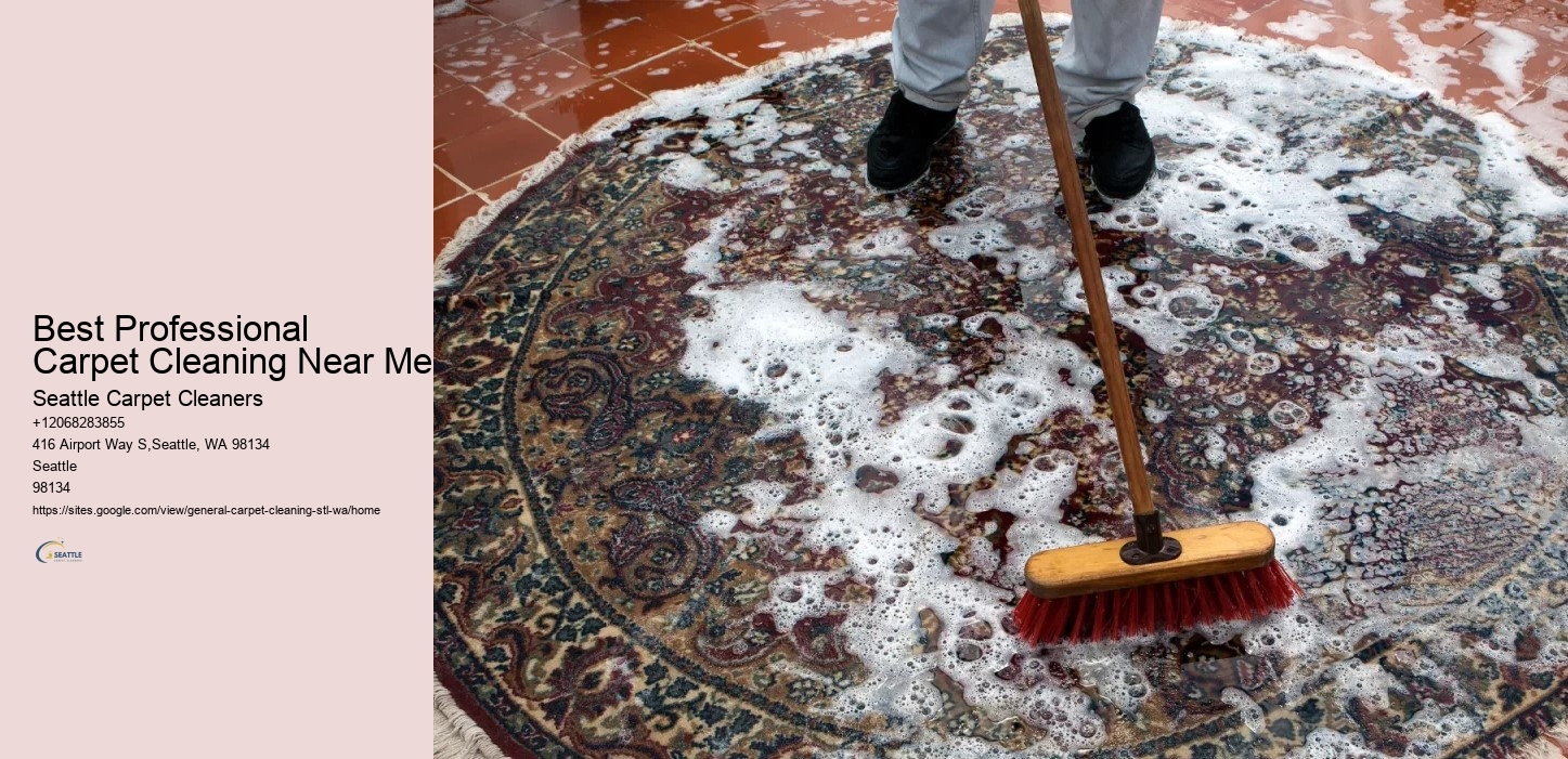 Best Professional Carpet Cleaning Near Me