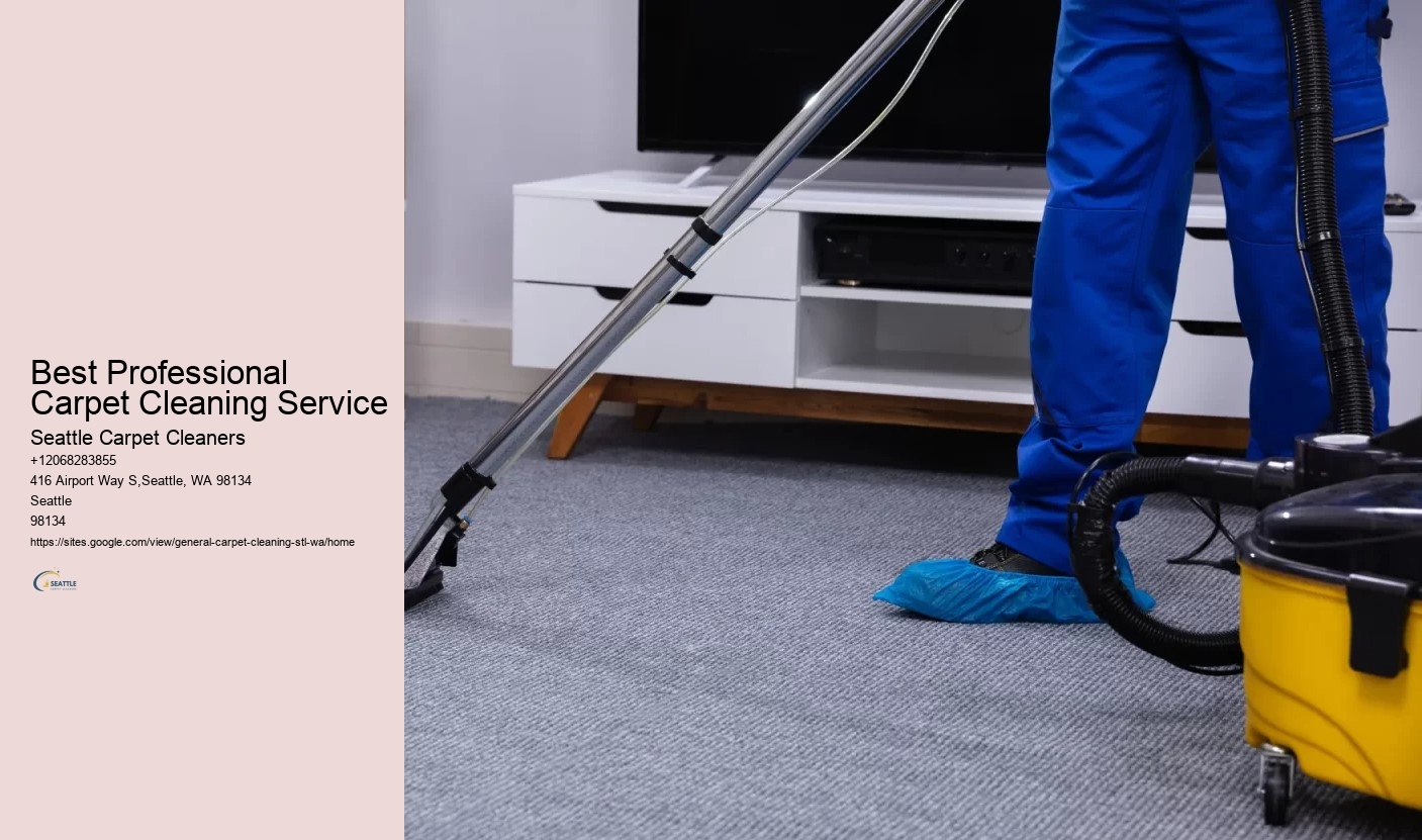 Best Professional Carpet Cleaning Service