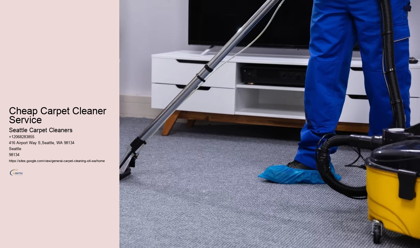 Cheap Carpet Cleaner Service