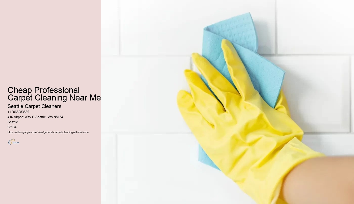 Cheap Professional Carpet Cleaning Near Me