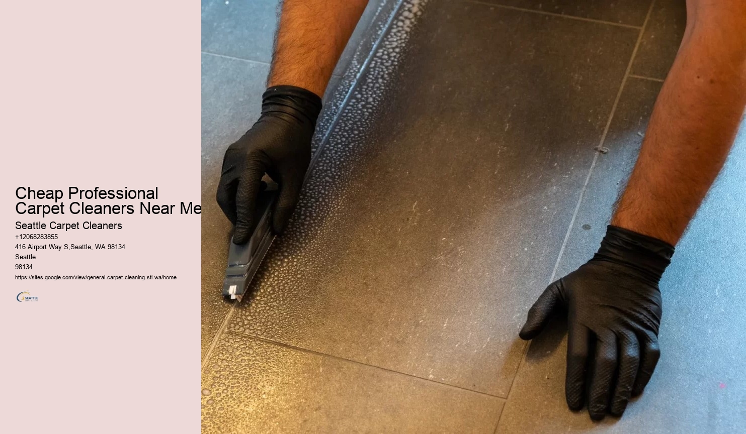 Cheap Professional Carpet Cleaners Near Me