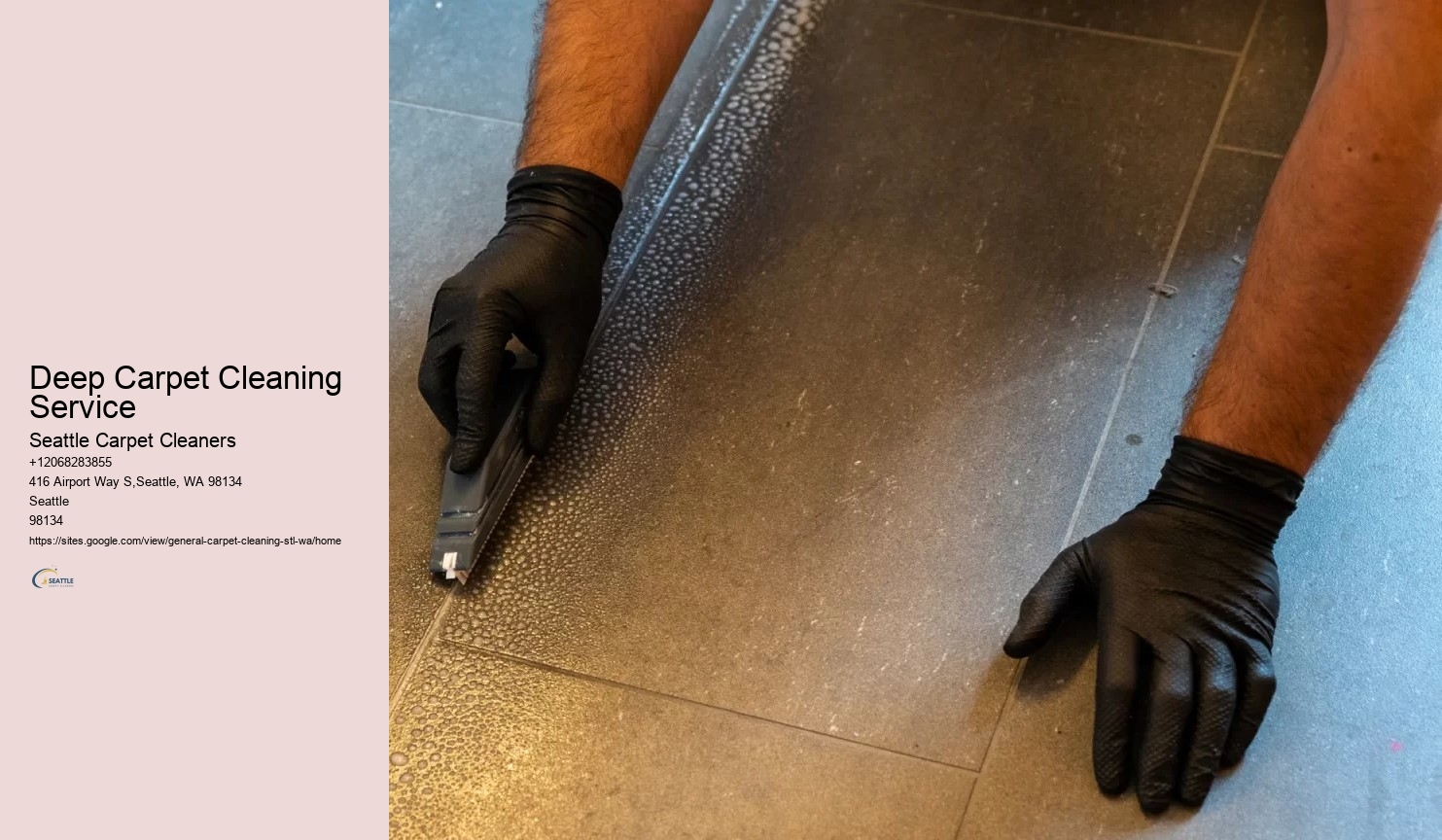 Deep Carpet Cleaning Service