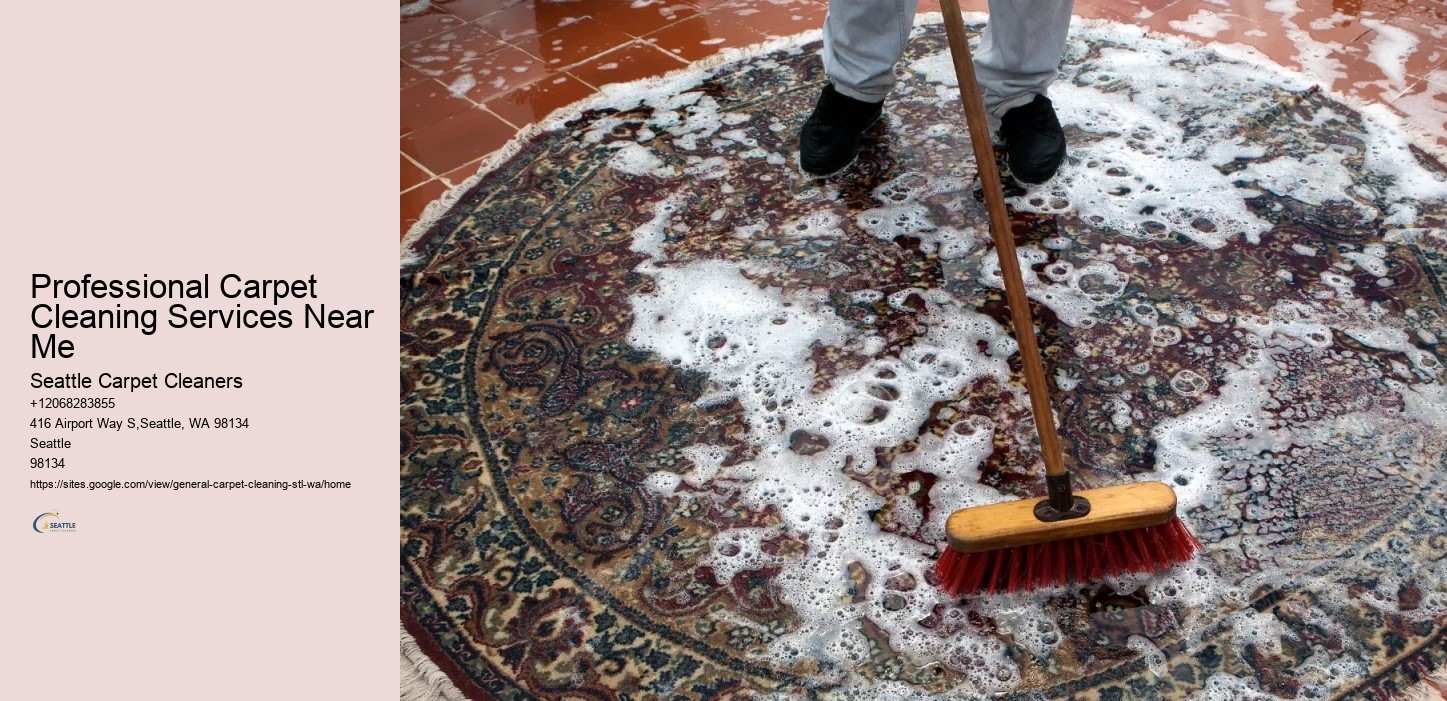 Professional Carpet Cleaning Services Near Me
