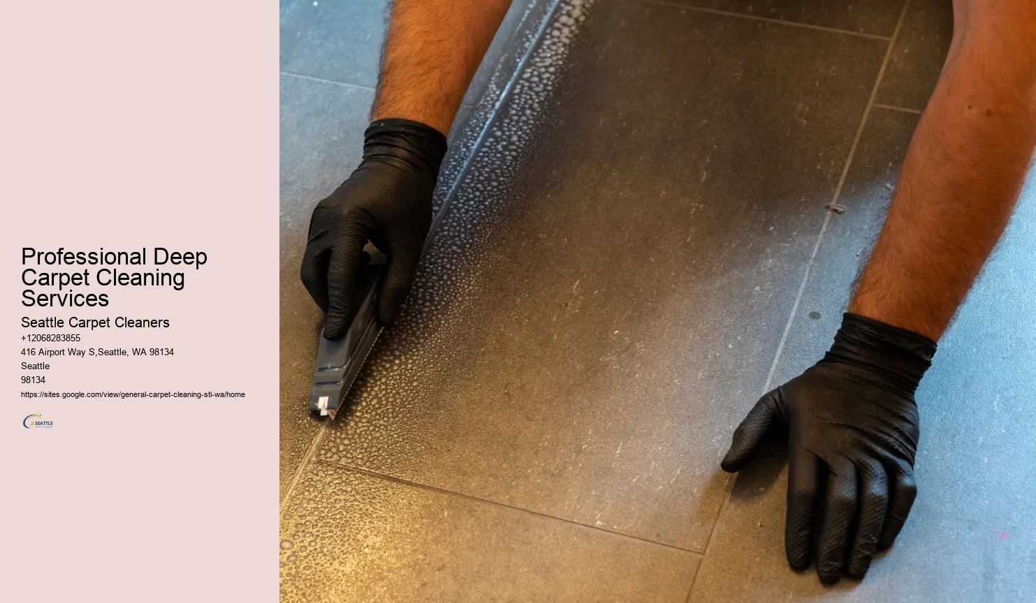 Professional Deep Carpet Cleaning Services