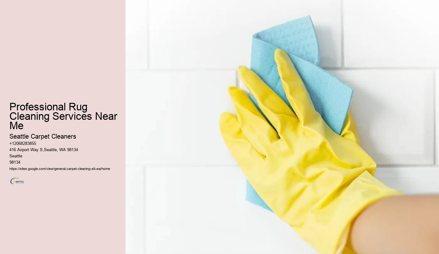 Professional Rug Cleaning Services Near Me