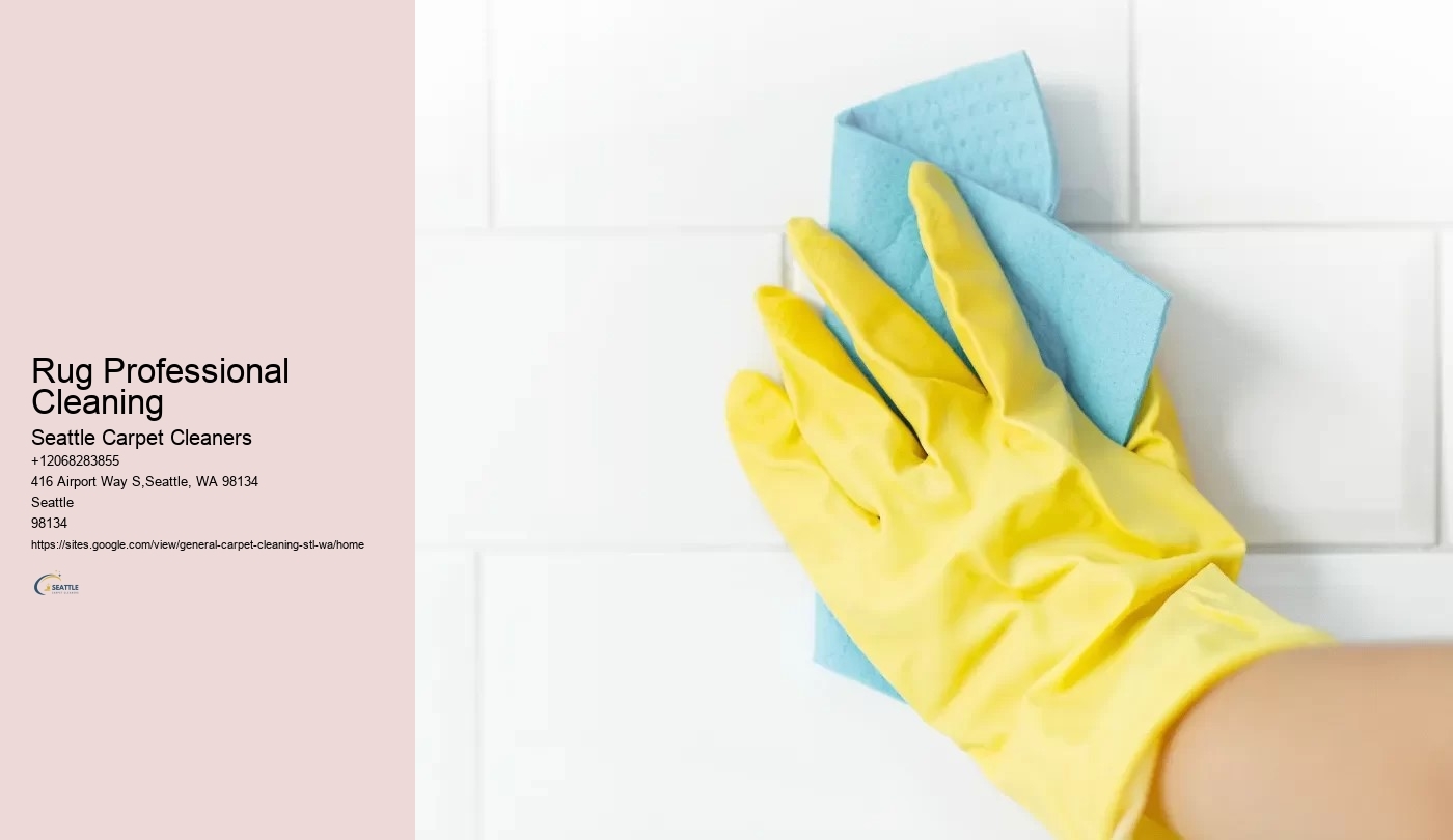 Rug Professional Cleaning