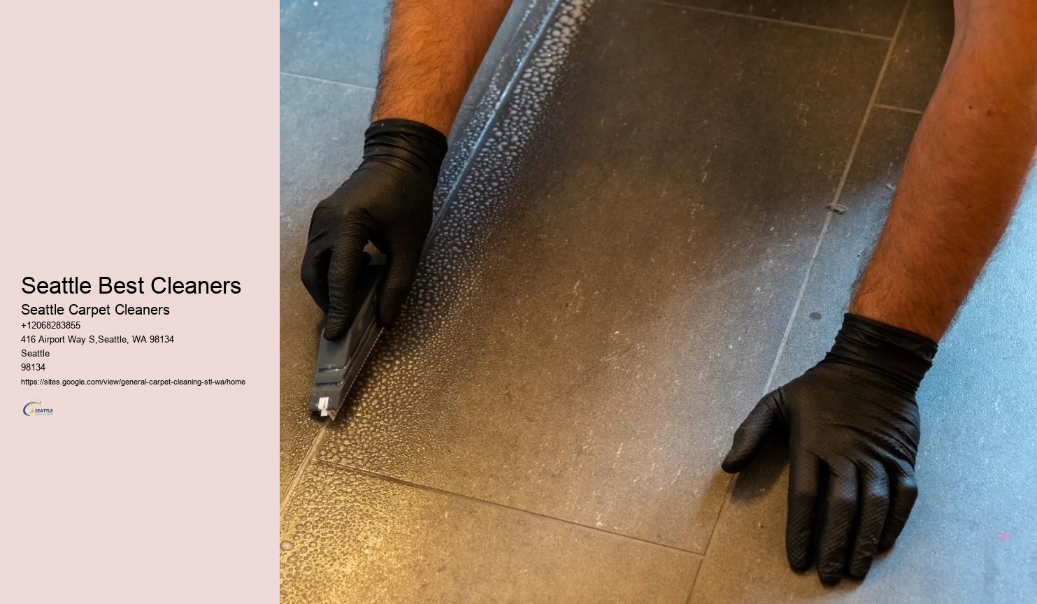 Seattle Best Cleaners