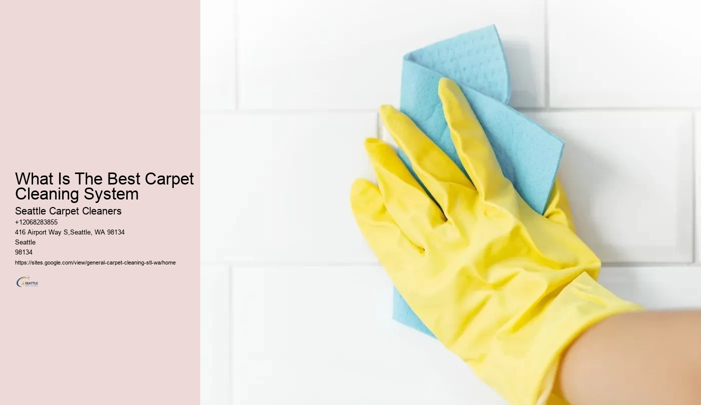What Is The Best Carpet Cleaning System