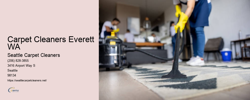 Seattle Carpet Cleaners