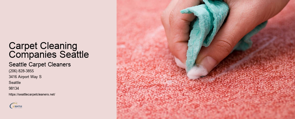 Seattle Professional Carpet Cleaning