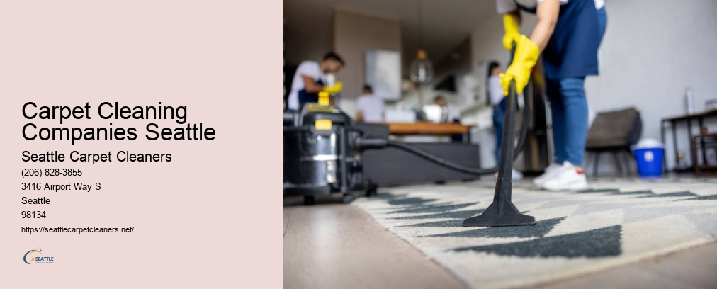 Carpet Cleaning In Lynnwood WA