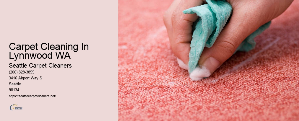 Professional Carpet Cleaners Seattle WA