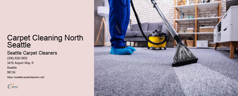 Seattle Clean Air Carpet Cleaning