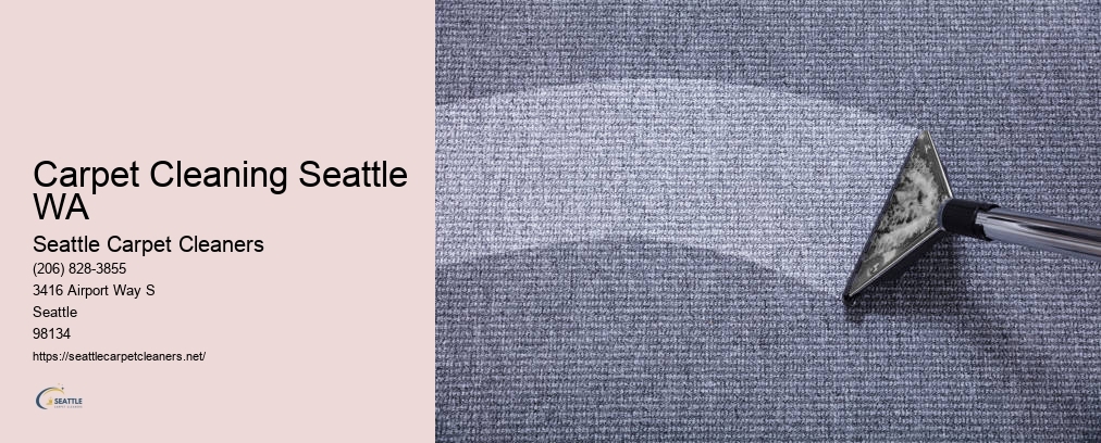 Upholstery Cleaner Seattle