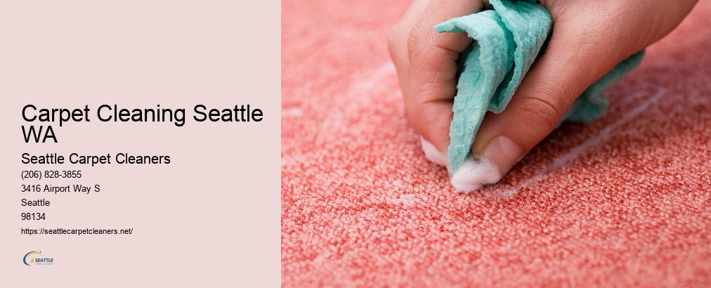 Seattle Professional Carpet Cleaning