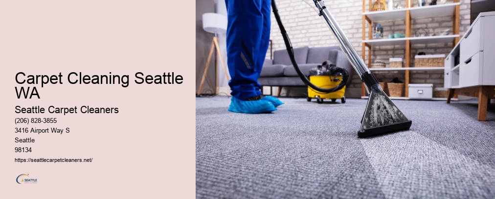 Upholstery Cleaner Seattle