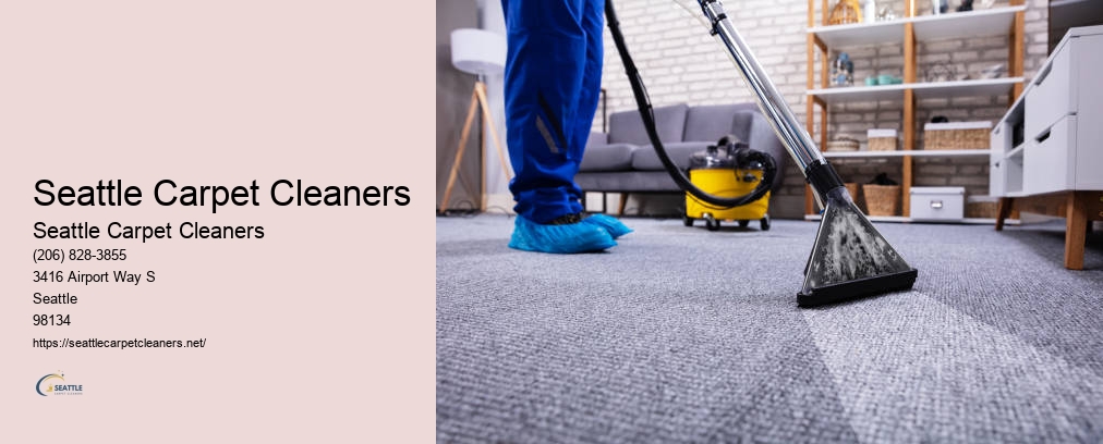 Seattle Carpet Cleaners