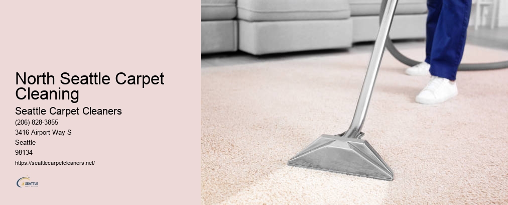Professional Carpet Cleaners Seattle WA