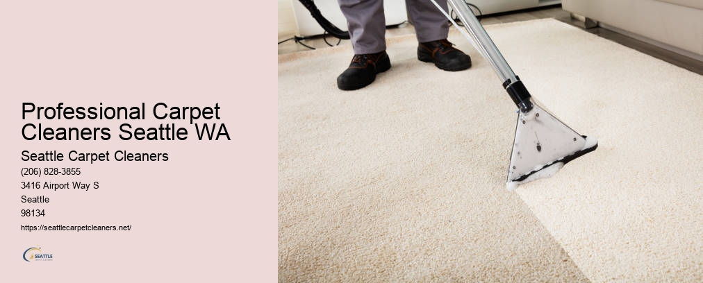 Seattle Carpet Cleaners