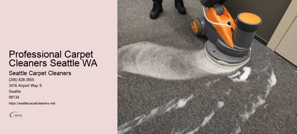 Professional Carpet Cleaners Seattle WA