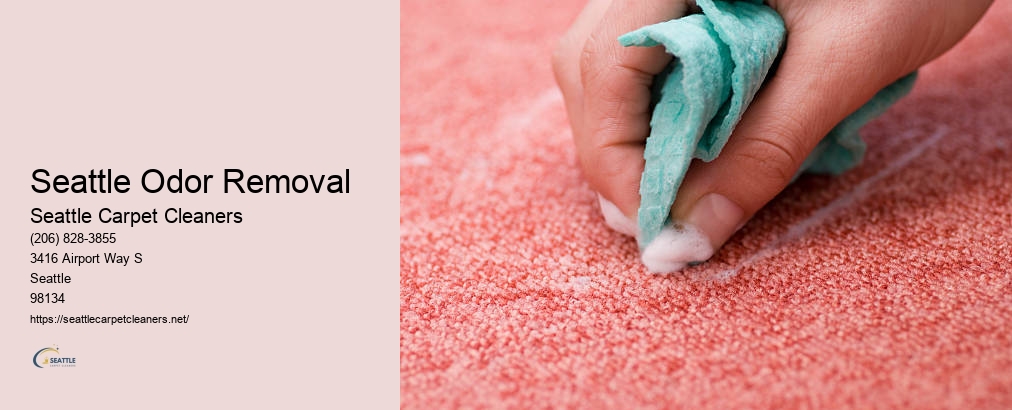 Rug Cleaning Seattle