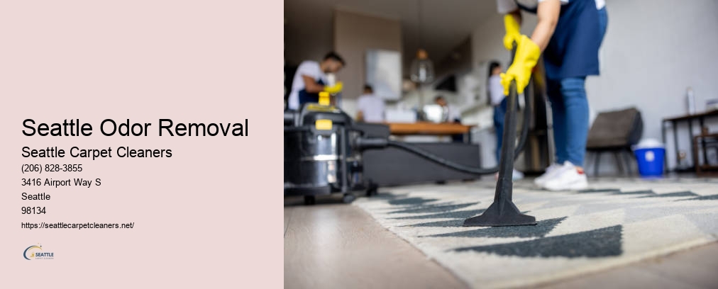 Seattle Professional Carpet Cleaning