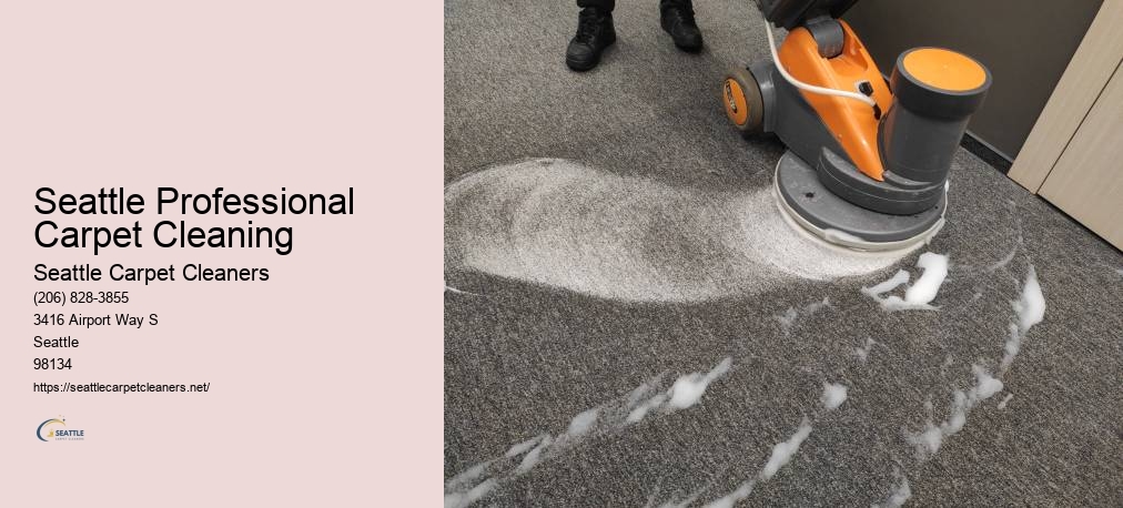 Best Carpet Cleaners In Seattle