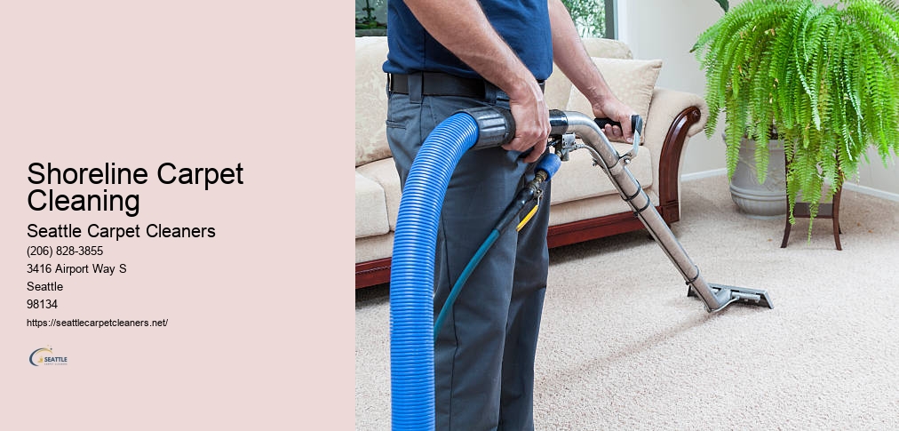 Carpet Cleaning Companies Seattle